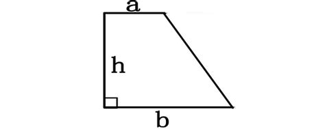 直角梯形面積公式